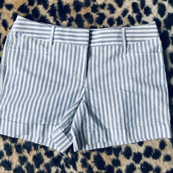 Express Pants - Express cuffed blue striped shorts